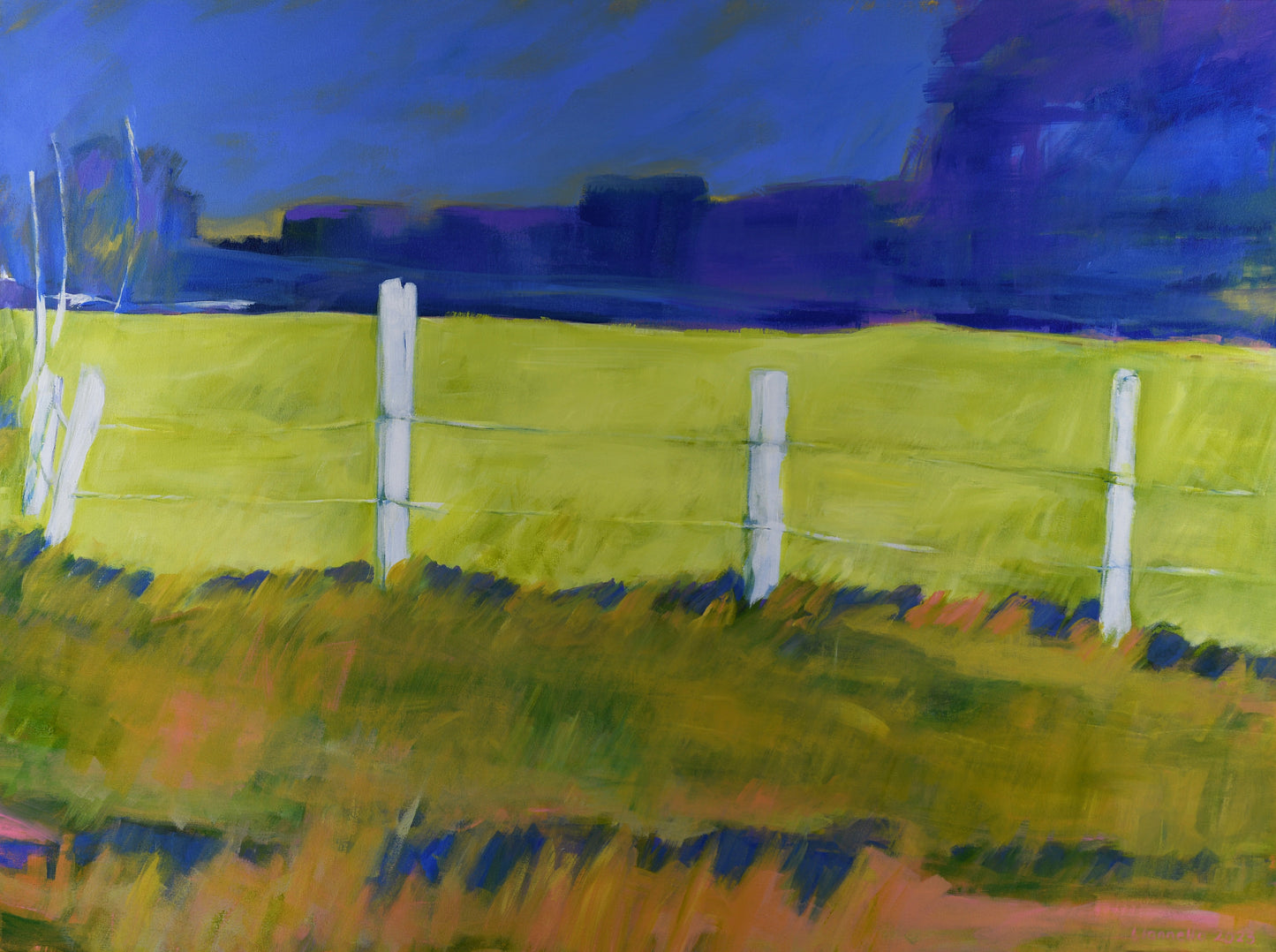 Morning Light on Field