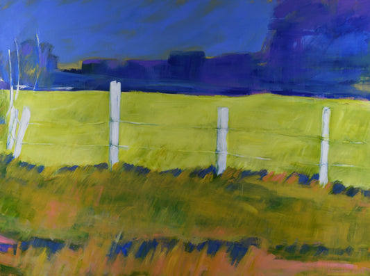 Morning Light on Field