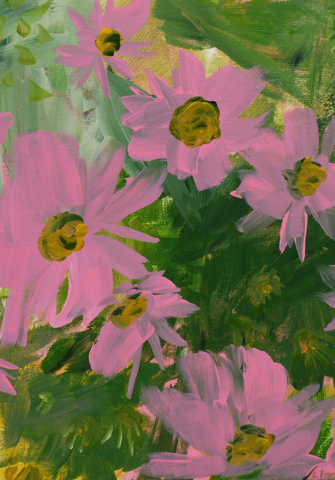 Coneflowers in Summer