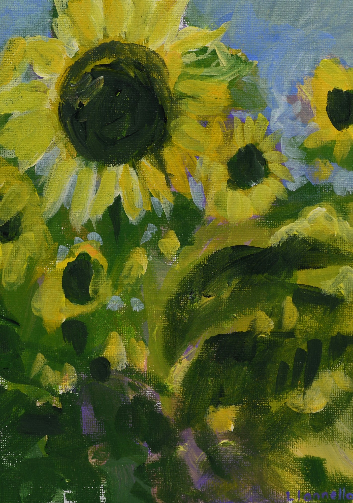 Sunflowers